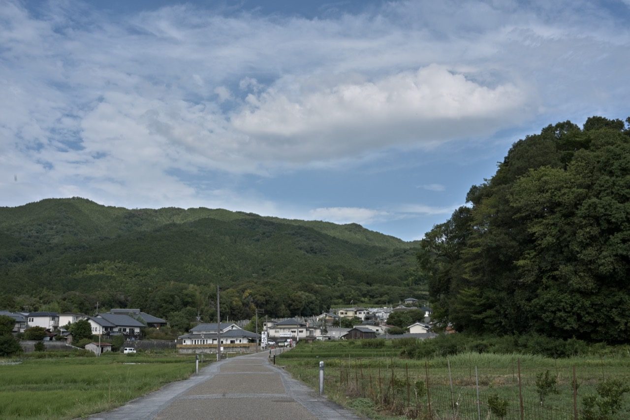畑の間をまっすぐ延びる道の先に、緑の山と小さな集落が見える