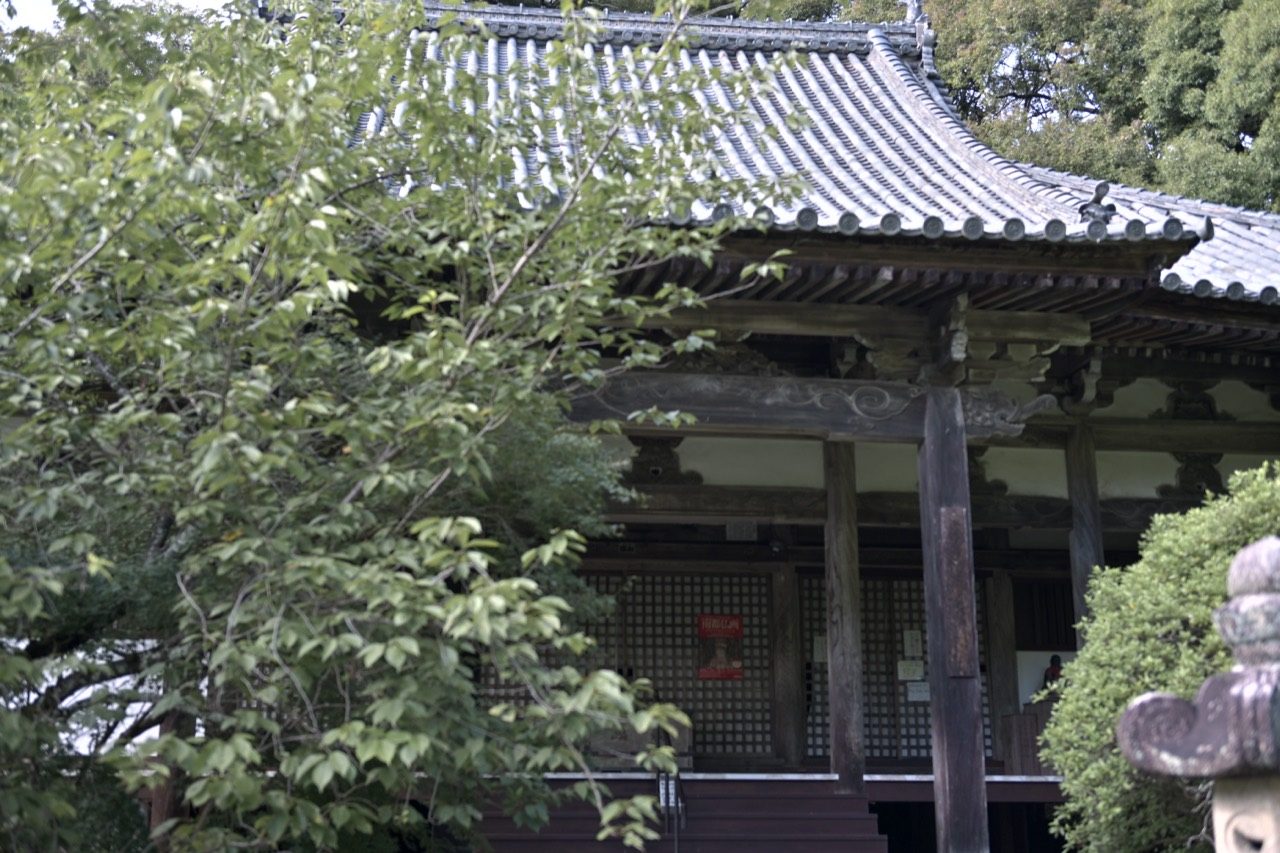 木々の枝越しに、瓦屋根と太い木柱を備えた堂を斜めから見る