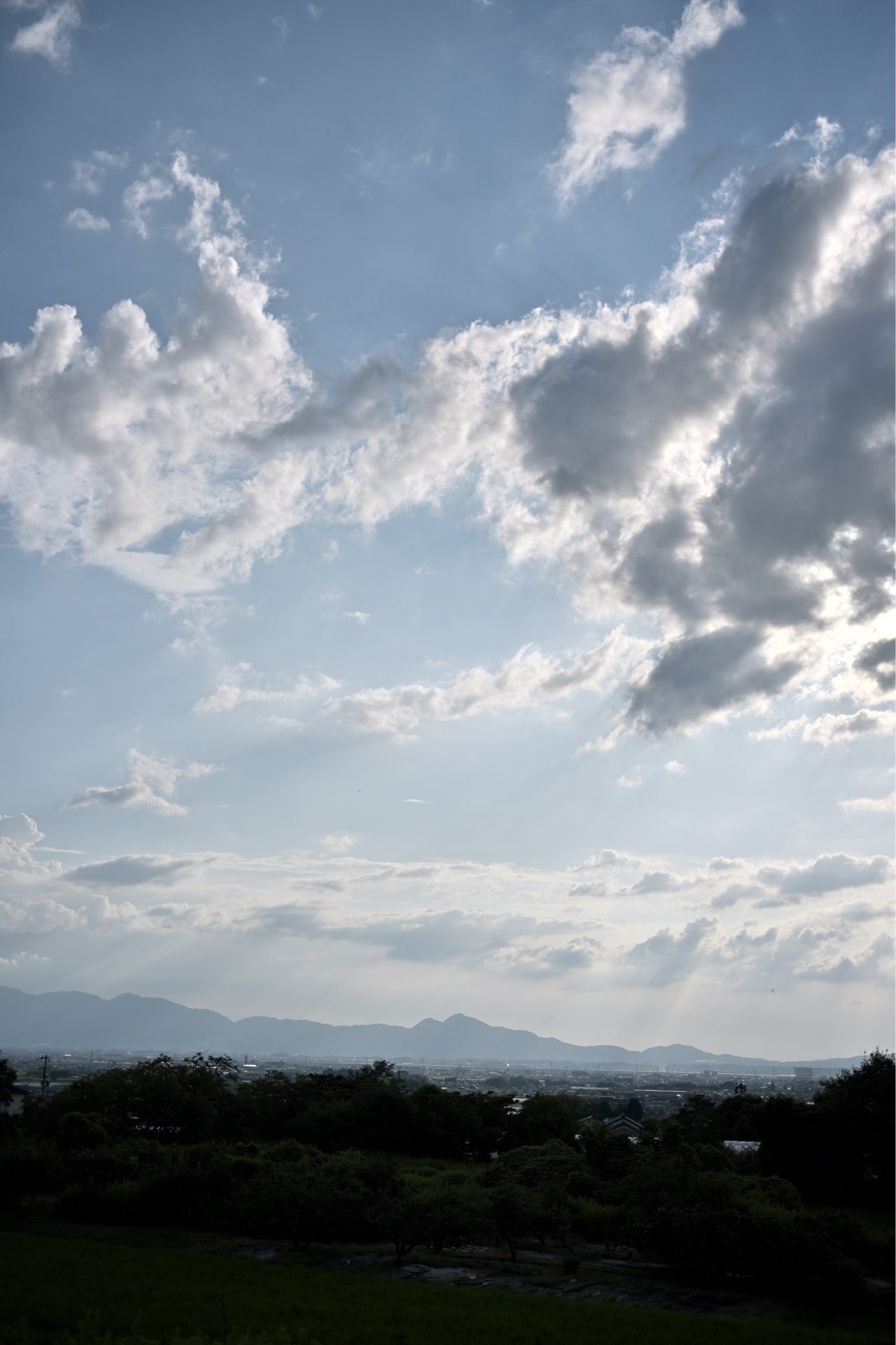 雲が広がる青空の下、奈良盆地の町並みと遠い山並みを見渡す